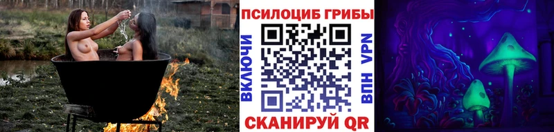 Купить где  Новосибирск  Псилоцибиновые грибы MAGIC MUSHROOMS 